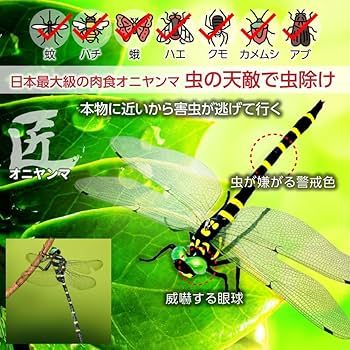 Amazon.co.jp: [AzukiY] 【アウトドアのプロ推薦】 オニヤンマ